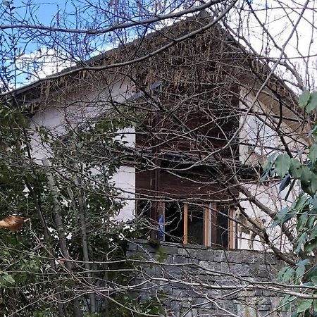 Gemuetliche Ferienwohnung Mit Garten Biasca Esterno foto